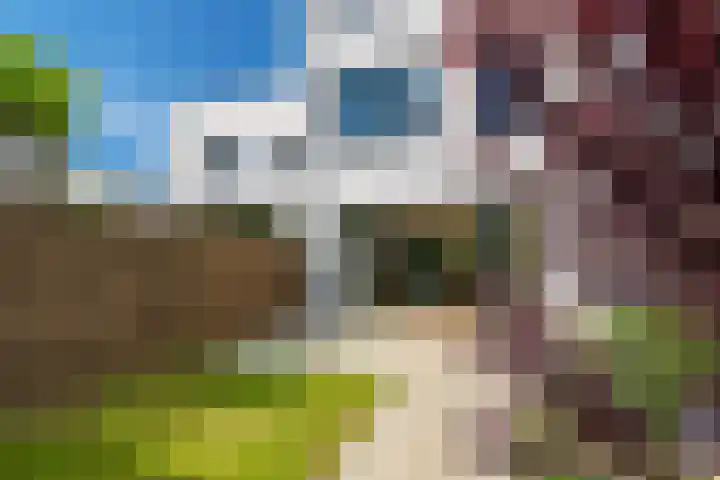 Kruitmolen 7 Muiden thumbnail 21