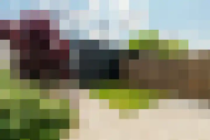 Kruitmolen 7 Muiden thumbnail 22