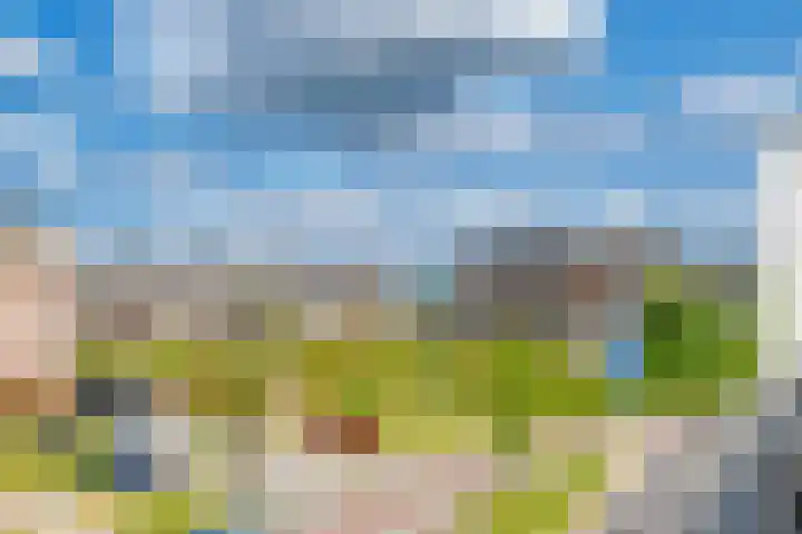 Kruitmolen 7 Muiden thumbnail 25