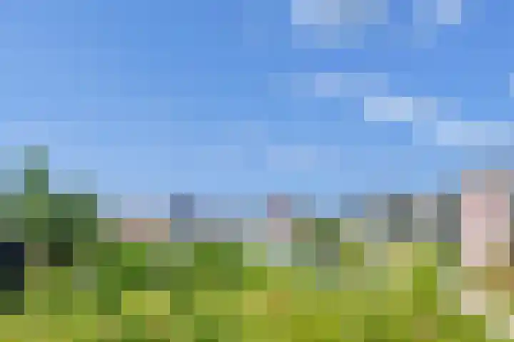 Kruitmolen 7 Muiden thumbnail 26