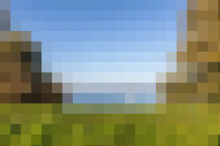 Kruitmolen 7 Muiden thumbnail 40