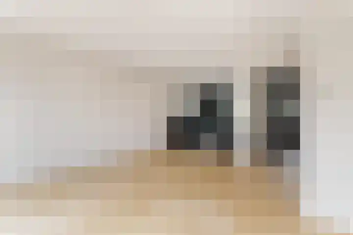 Kruitmolen 7 Muiden thumbnail 8