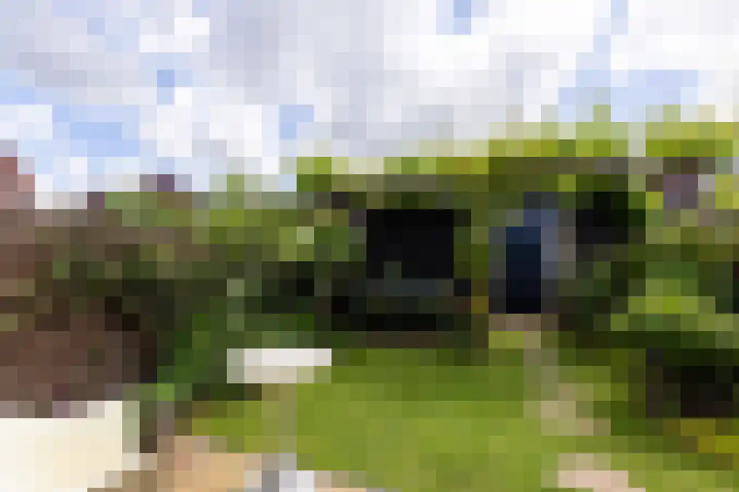 Kruitmolen 9 Muiden thumbnail 28