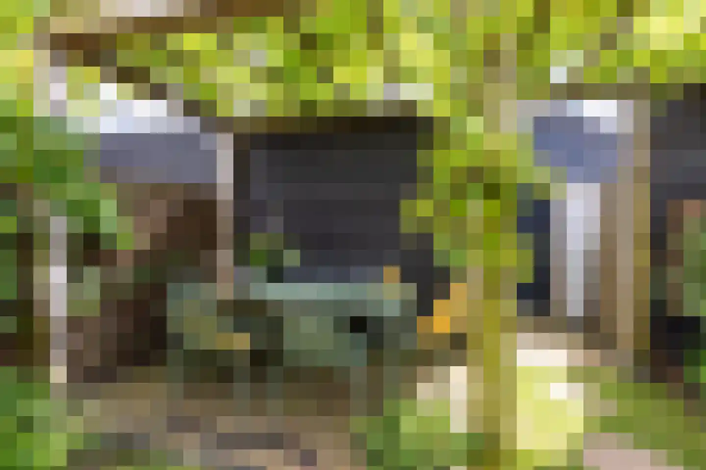Kruitmolen 9 Muiden thumbnail 29
