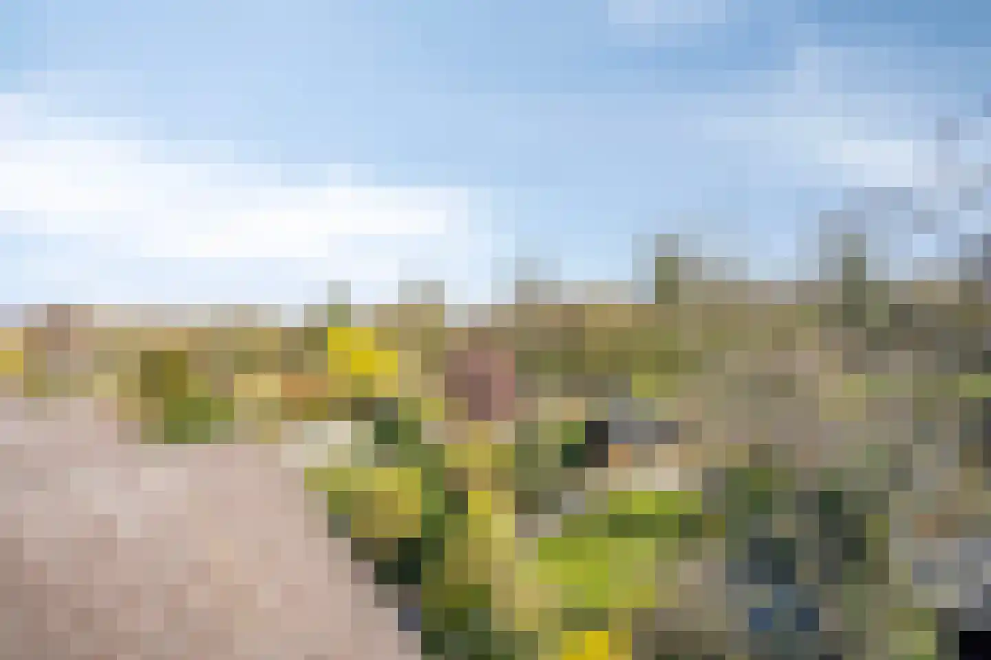 Kruitmolenlaan 17 Middelburg thumbnail 25