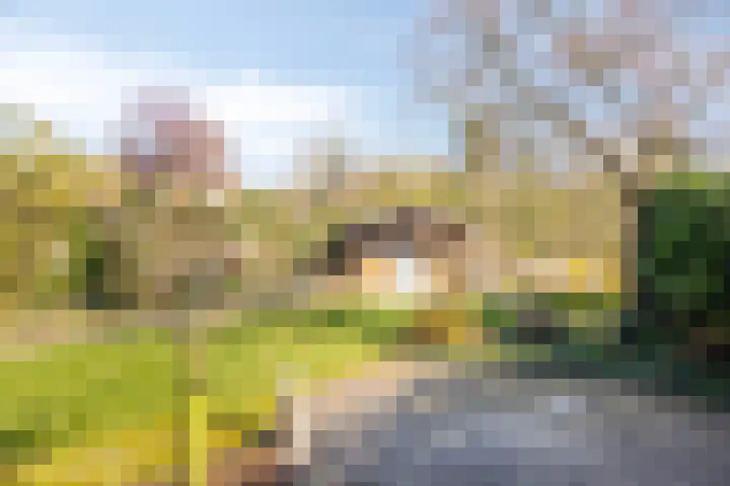 Kruitmolenlaan 17 Middelburg thumbnail 29