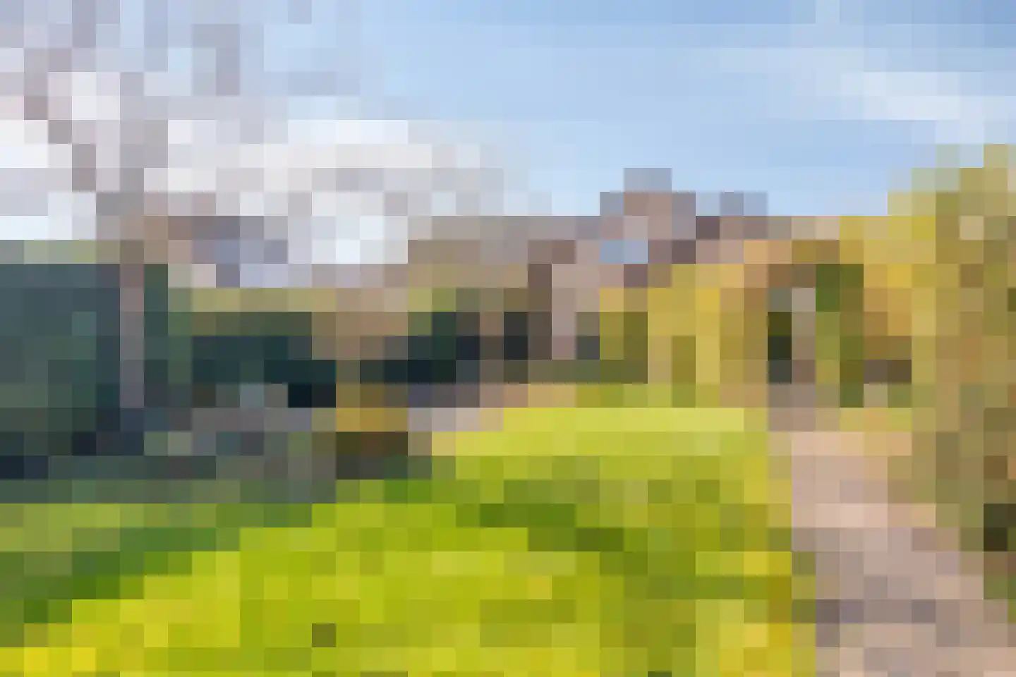 Kruitmolenlaan 17 Middelburg thumbnail 30