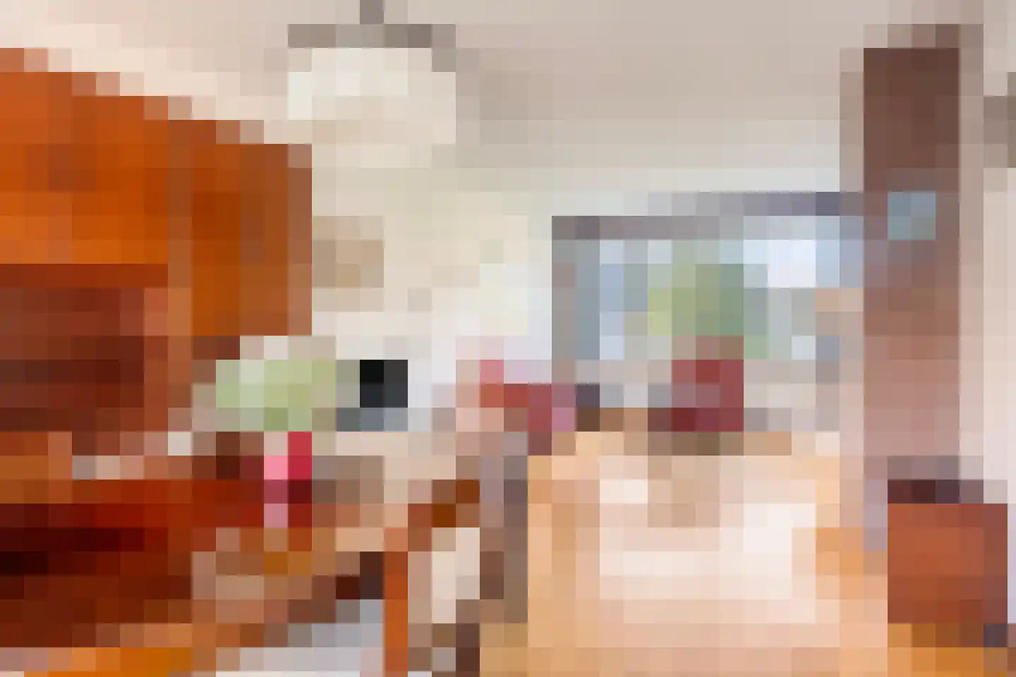 Kruitmolenlaan 17 Middelburg thumbnail 6