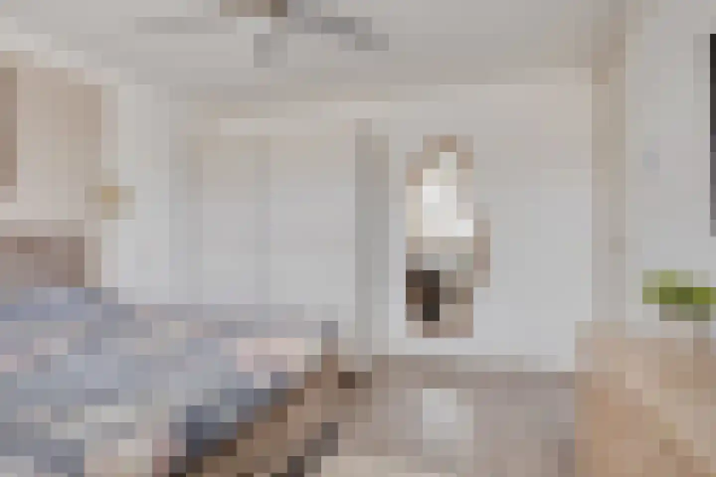 Kruitmolenlaan 210 Middelburg thumbnail 19