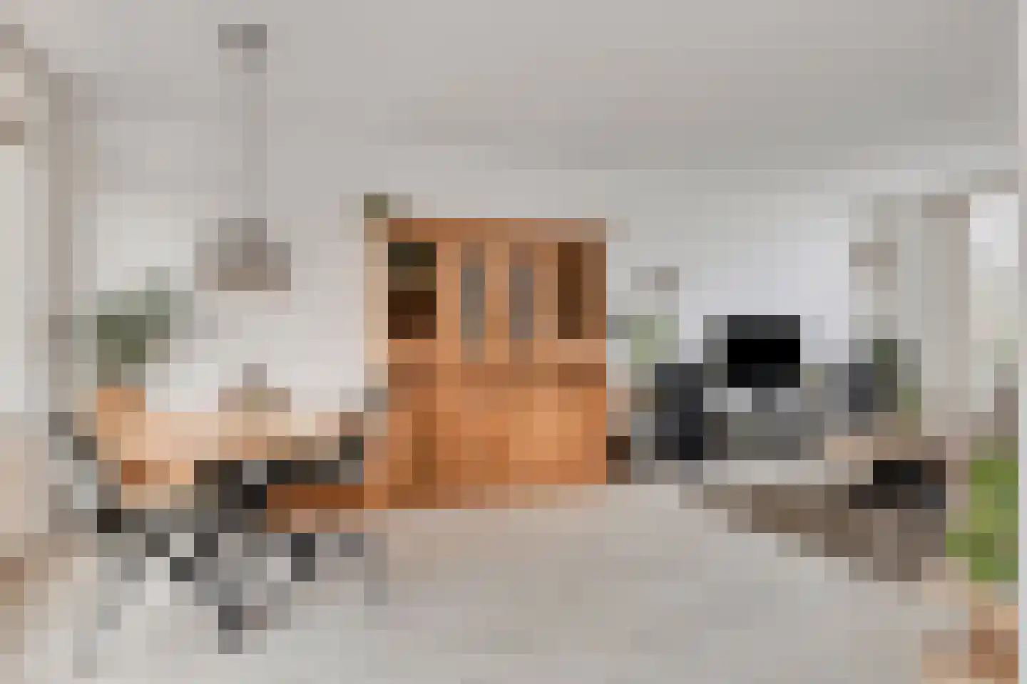 Kruitmolenlaan 210 Middelburg thumbnail 9