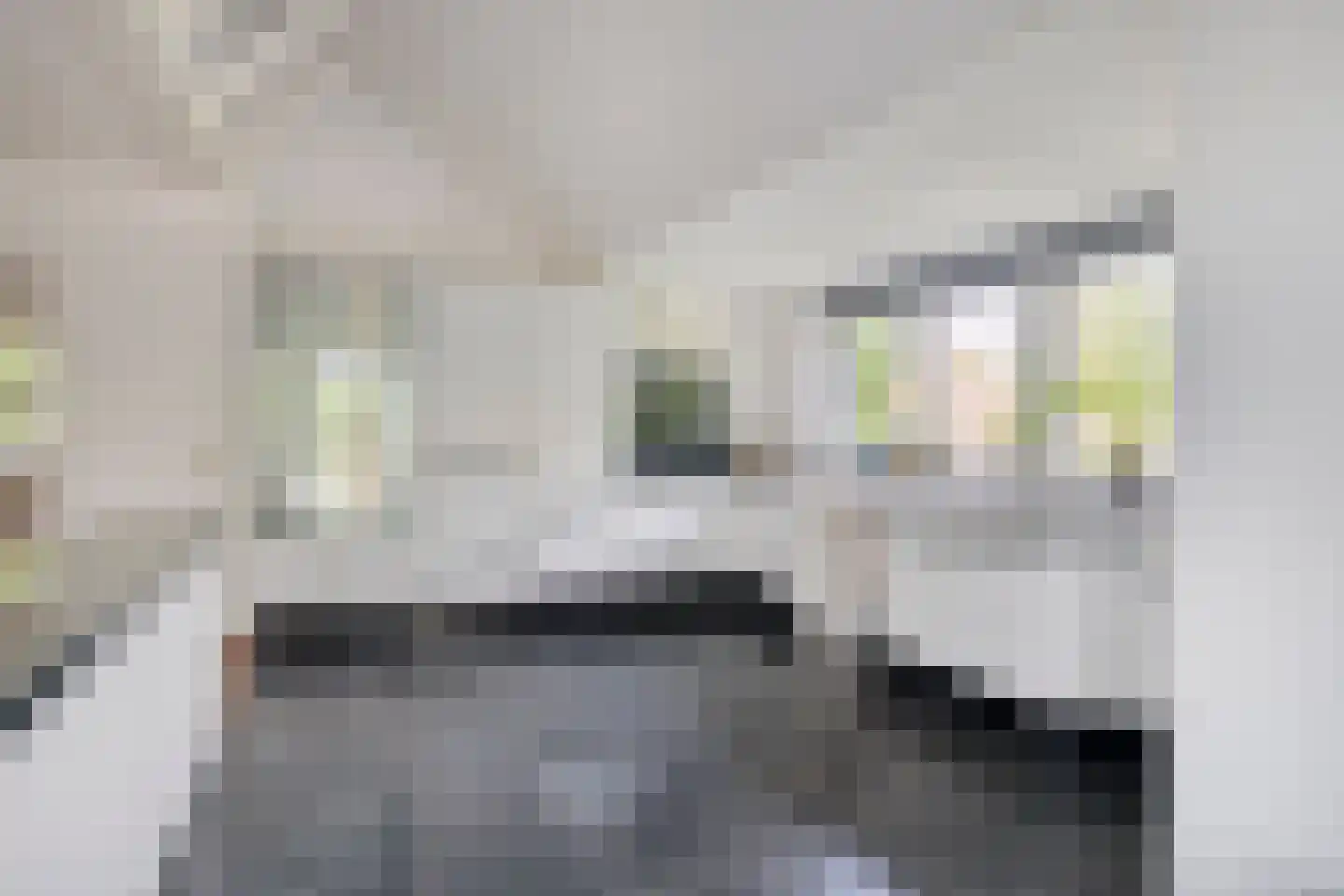 Kruitmolenlaan 7 Middelburg thumbnail 16