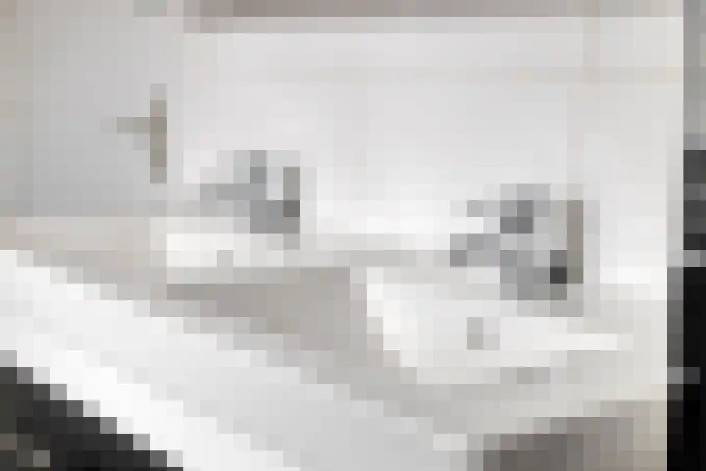Kruitmolenlaan 7 Middelburg thumbnail 36