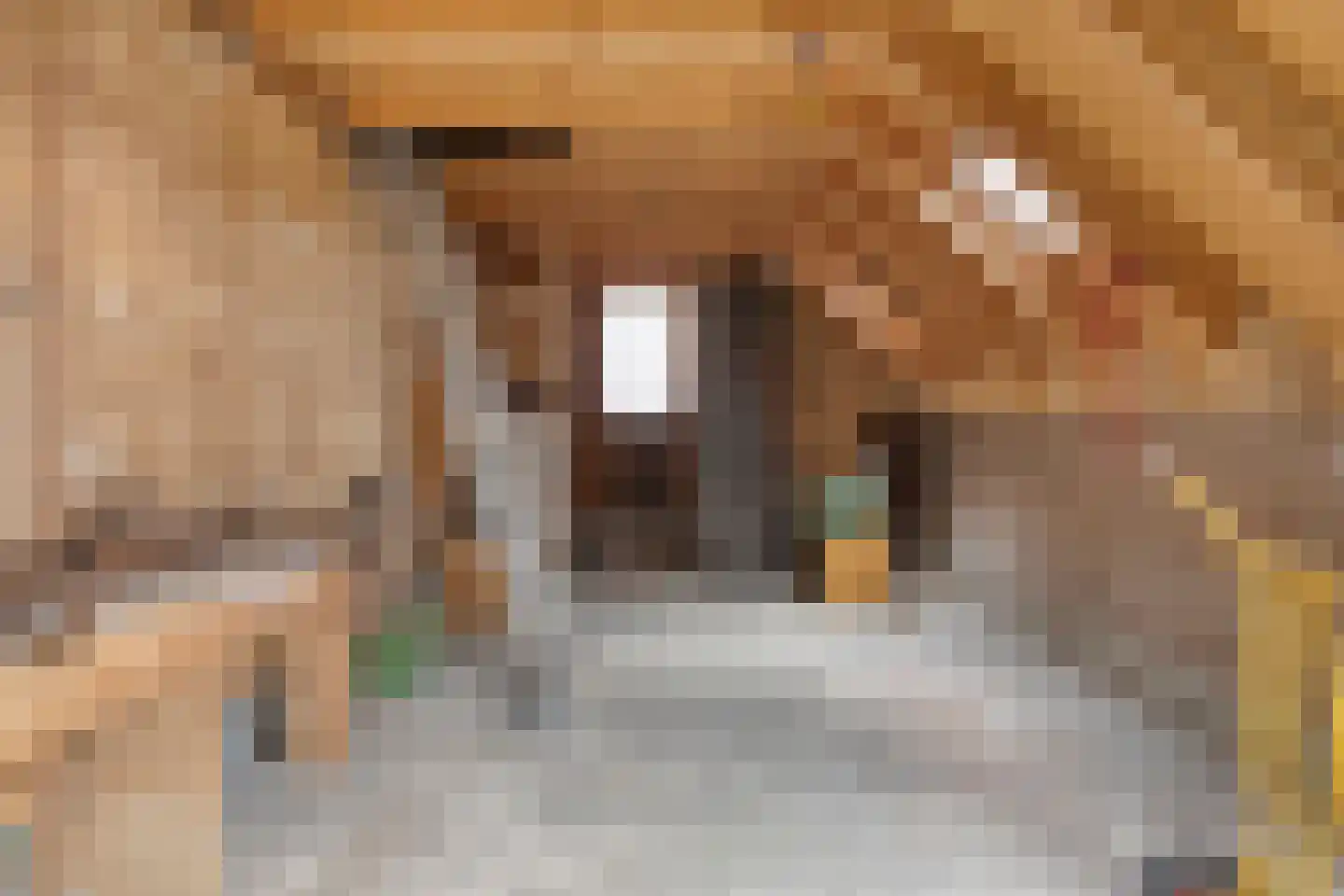 Kruitmolenlaan 7 Middelburg thumbnail 38