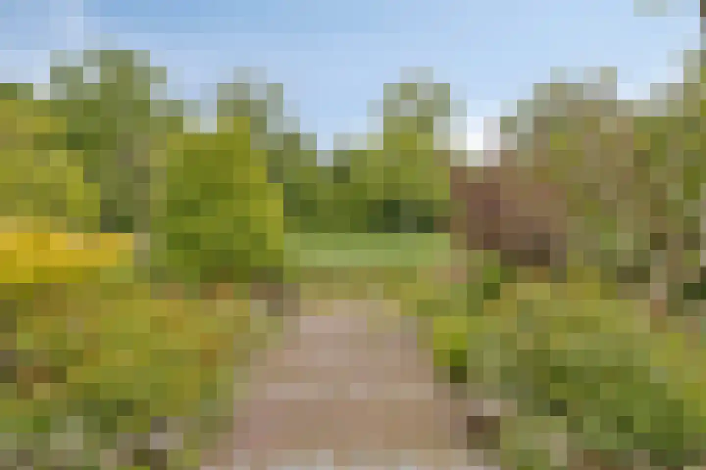 Kruitmolenlaan 7 Middelburg thumbnail 42