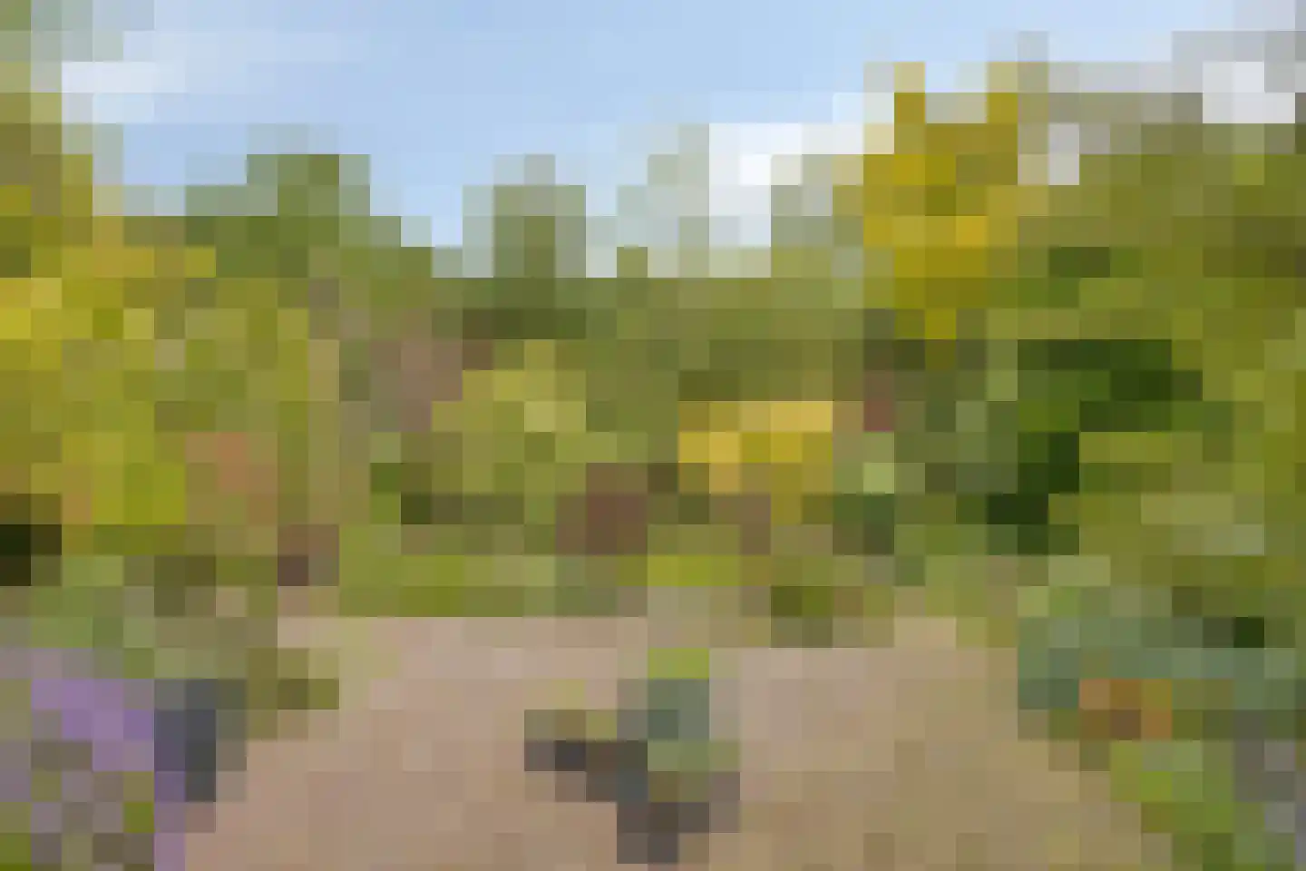 Kruitmolenlaan 7 Middelburg thumbnail 43