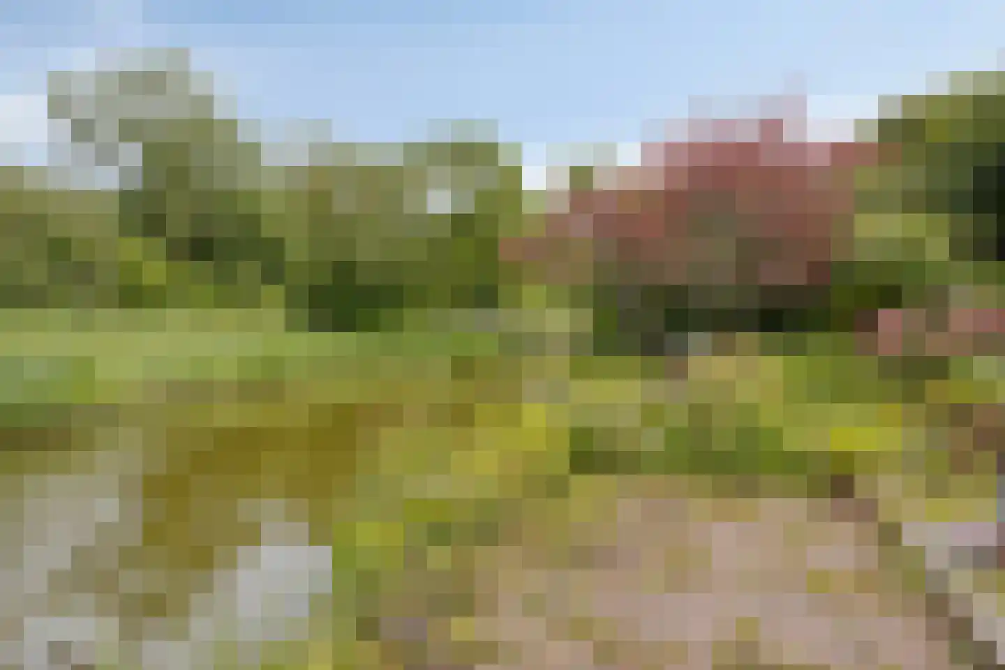 Kruitmolenlaan 7 Middelburg thumbnail 45