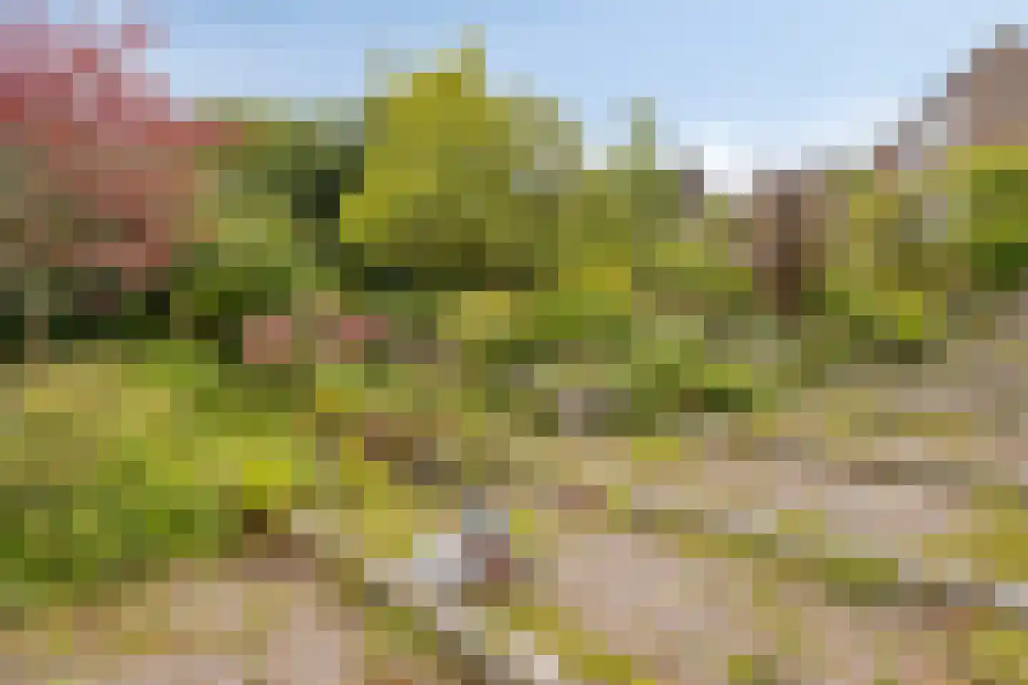 Kruitmolenlaan 7 Middelburg thumbnail 46