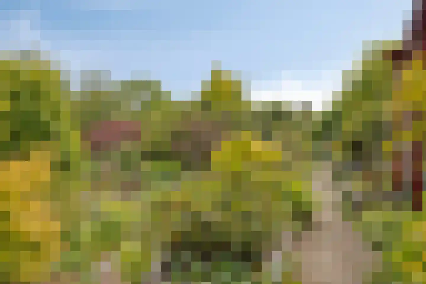 Kruitmolenlaan 7 Middelburg thumbnail 47
