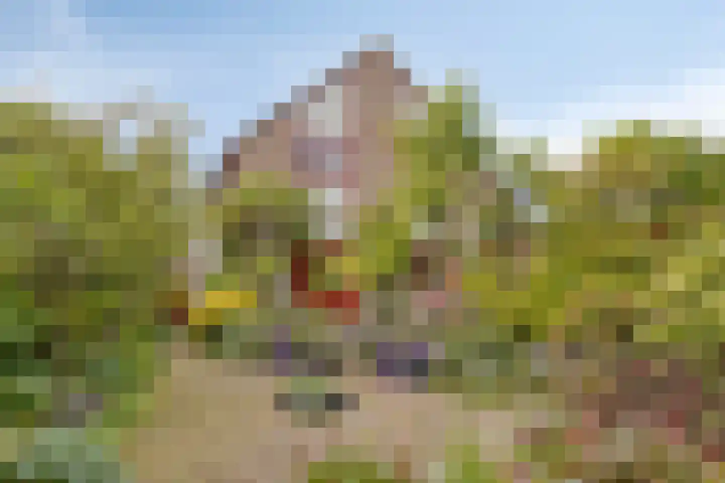 Kruitmolenlaan 7 Middelburg thumbnail 48