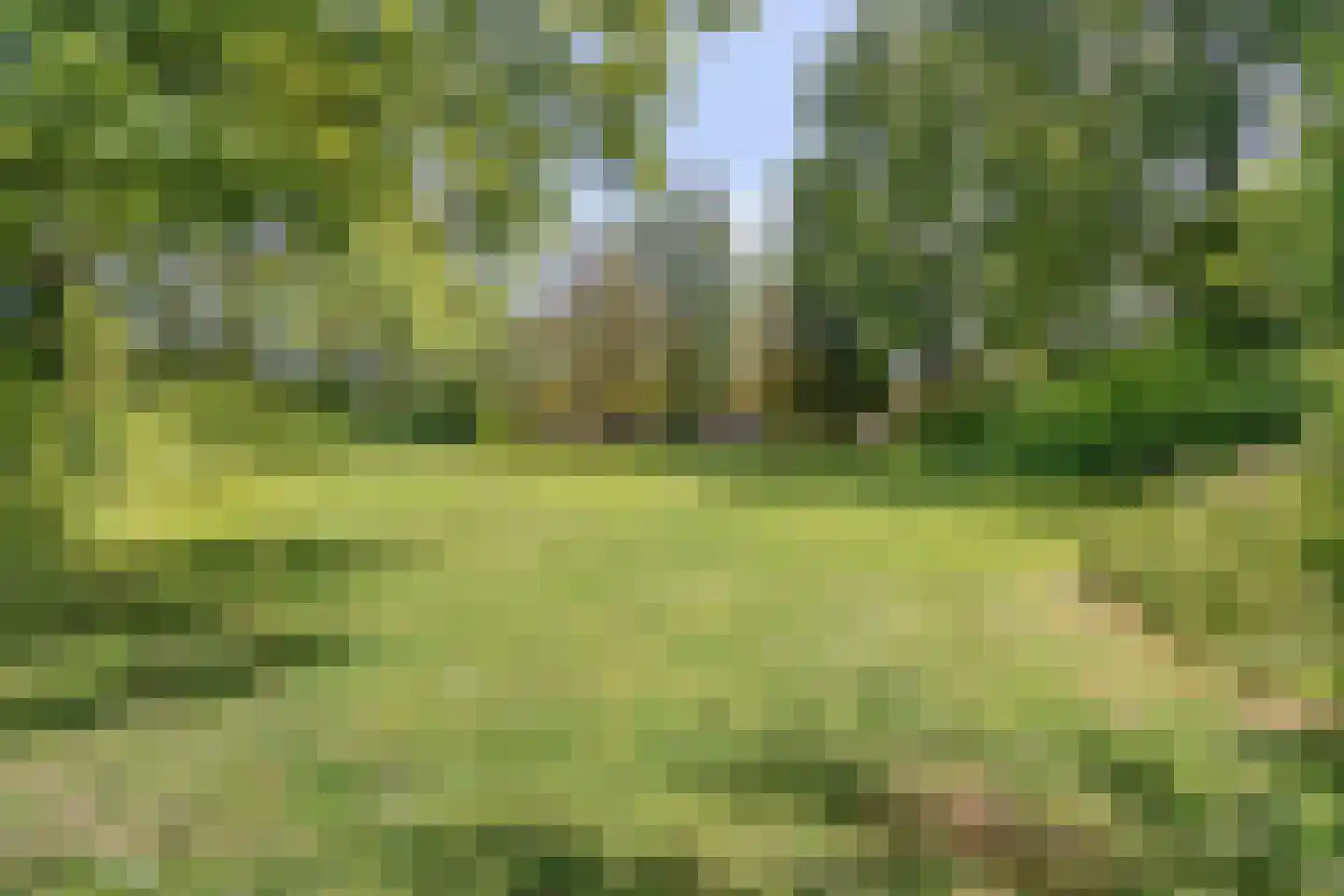 Kruitmolenlaan 7 Middelburg thumbnail 54