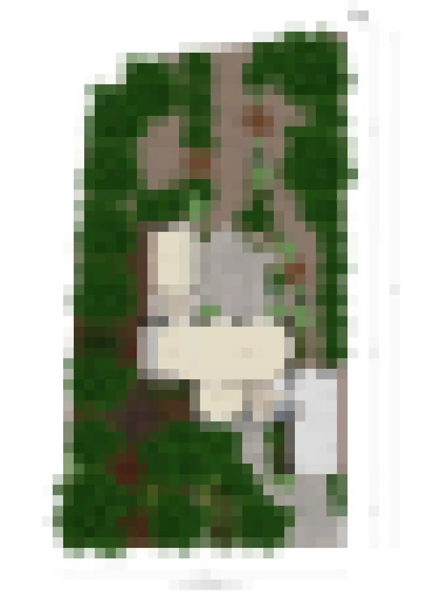 Kruitmolenlaan 7 Middelburg thumbnail 55