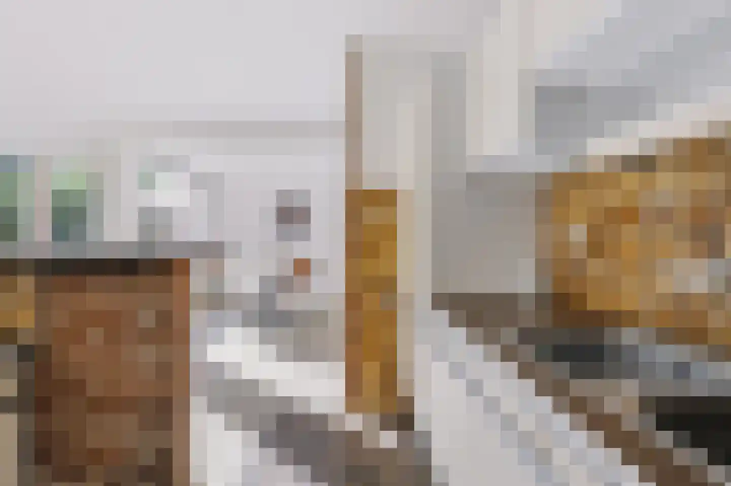 Kruitmolenlaan 77 Middelburg thumbnail 26