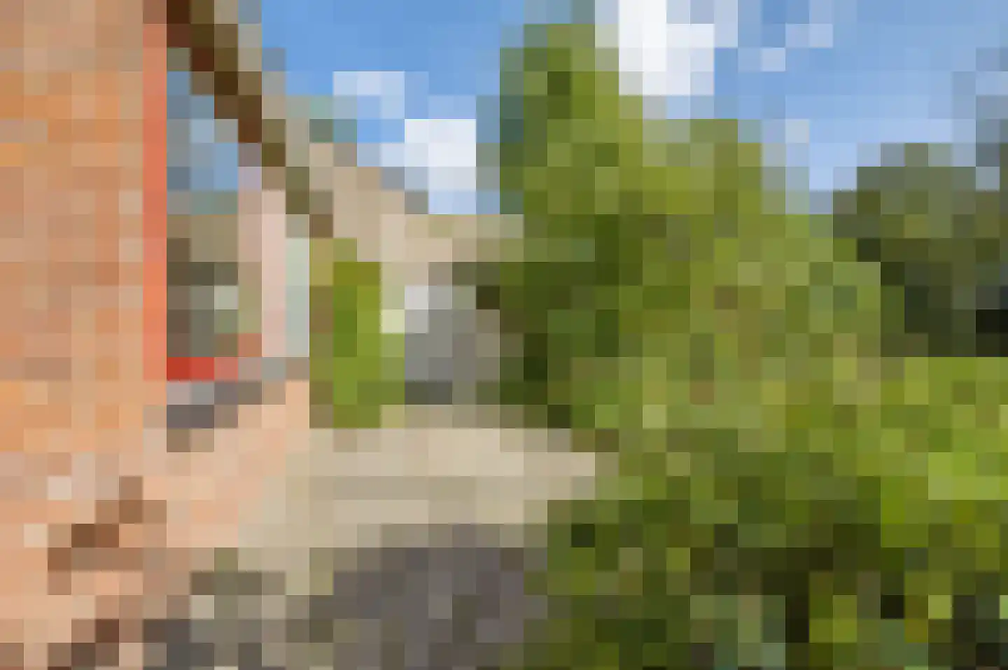 Kruitmolenlaan 77 Middelburg thumbnail 33