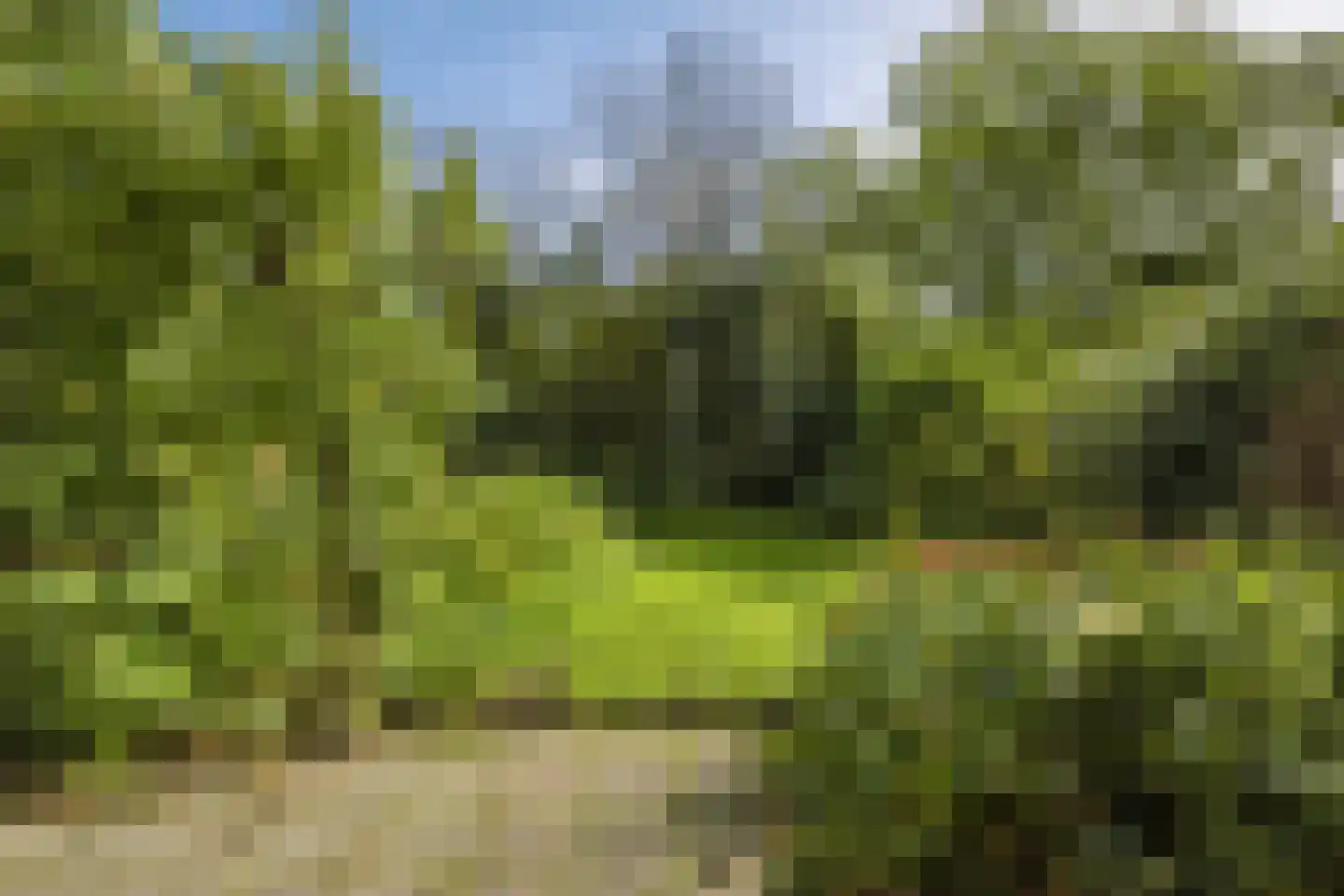 Kruitmolenlaan 77 Middelburg thumbnail 34