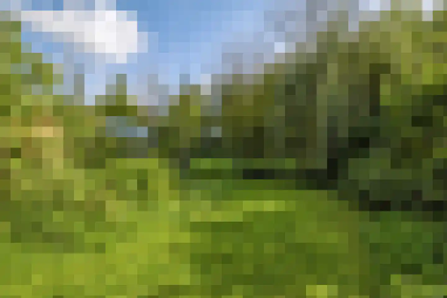 Kruitmolenlaan 77 Middelburg thumbnail 35