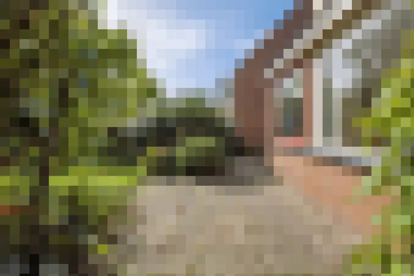 Kruitmolenlaan 77 Middelburg thumbnail 37