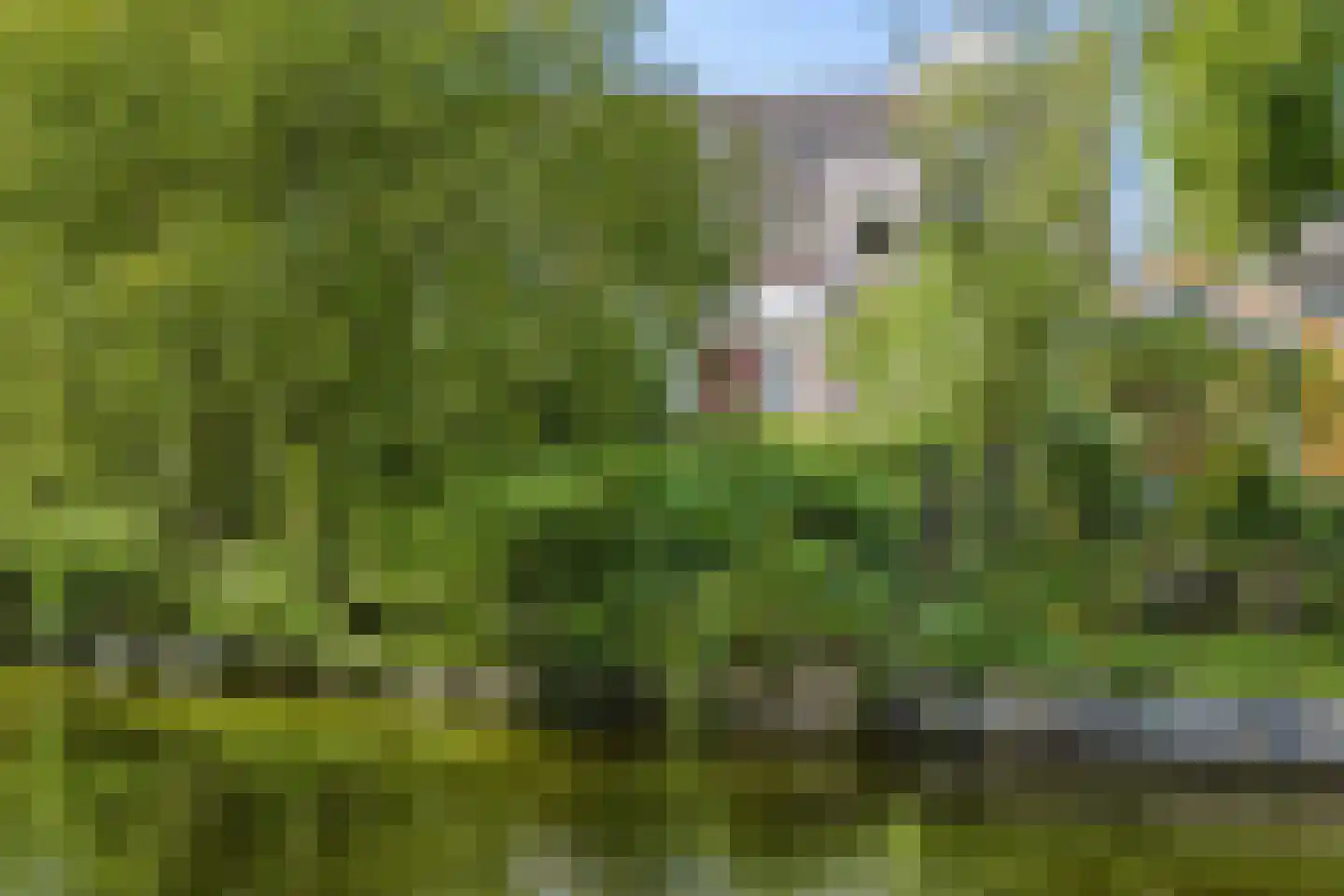 Kruitmolenlaan 77 Middelburg thumbnail 38