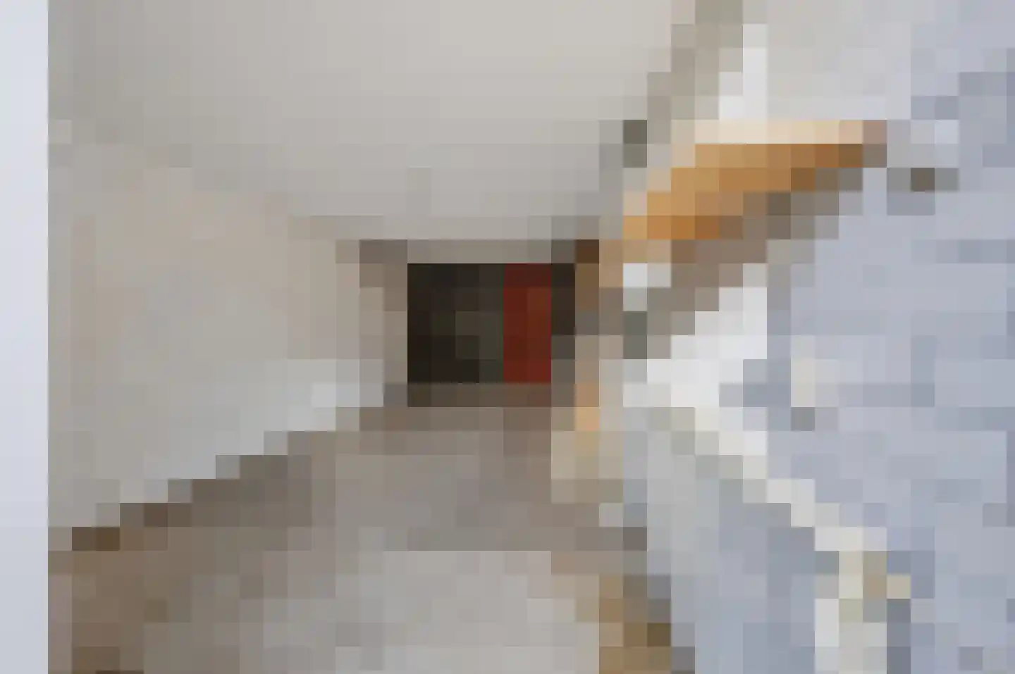 Kruitmolenlaan 77 Middelburg thumbnail 40