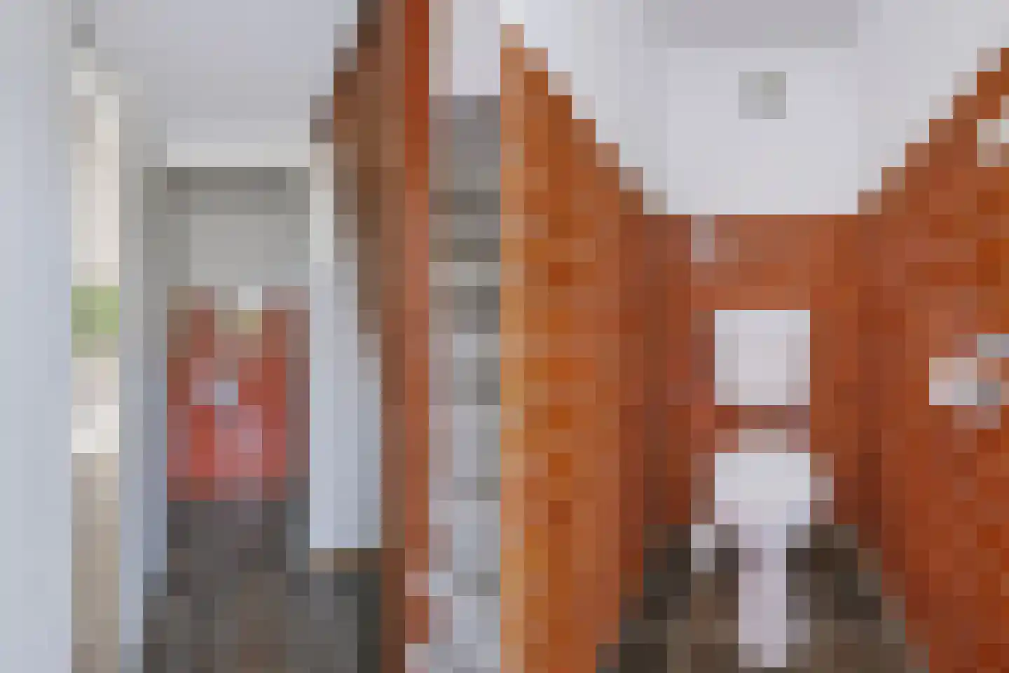 Kruitmolenlaan 77 Middelburg thumbnail 41