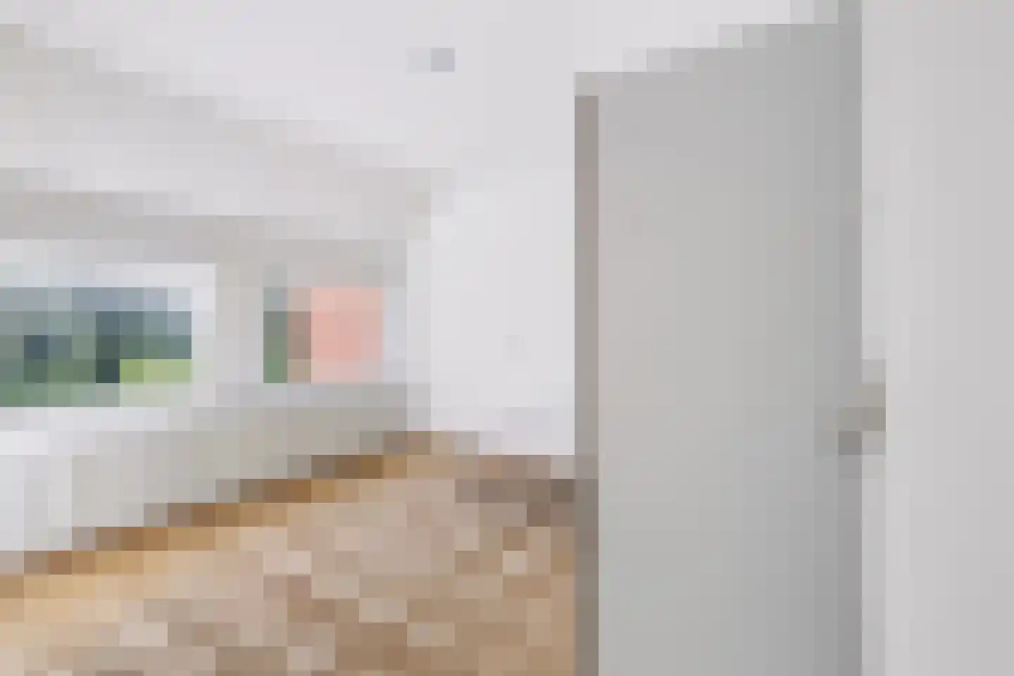 Kruitmolenlaan 77 Middelburg thumbnail 51