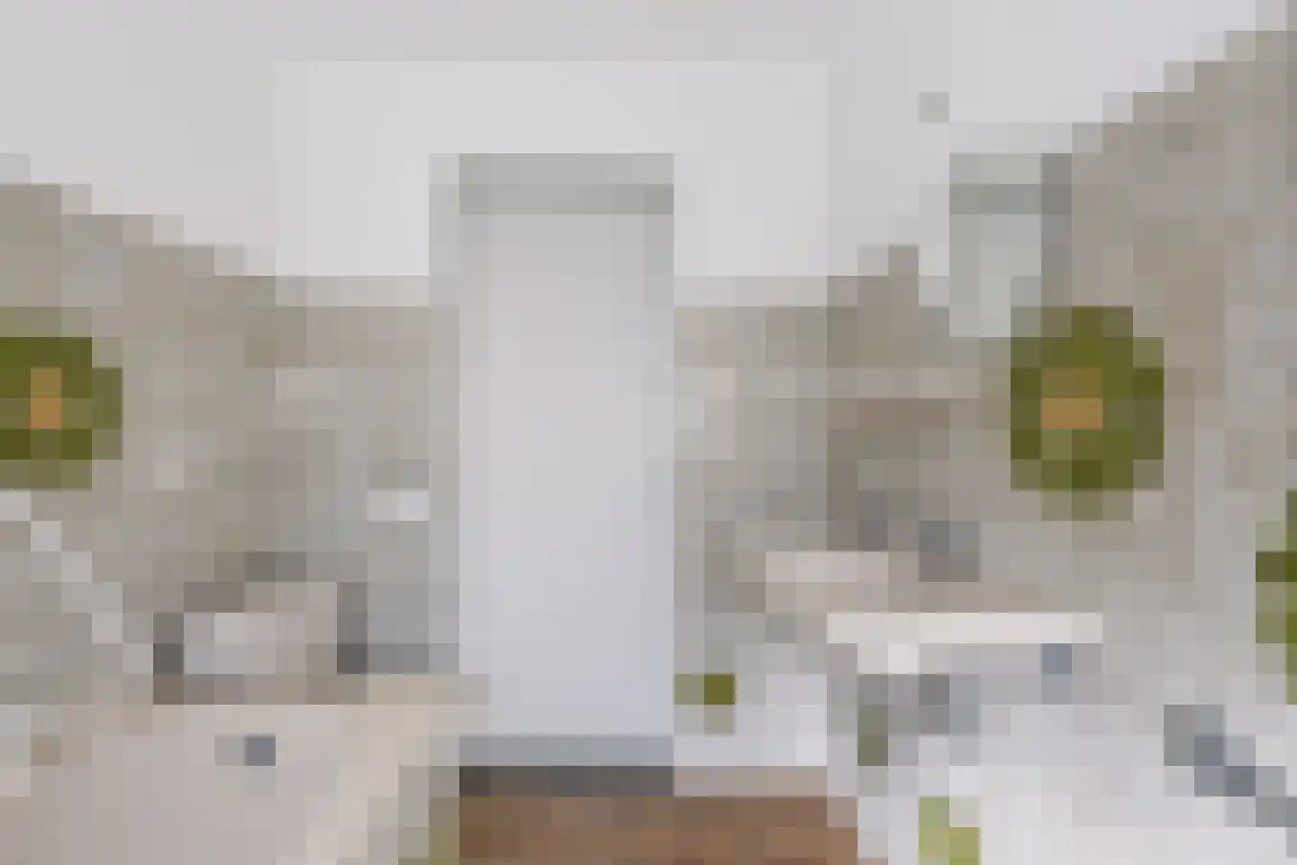 Kruitmolenlaan 77 Middelburg thumbnail 58