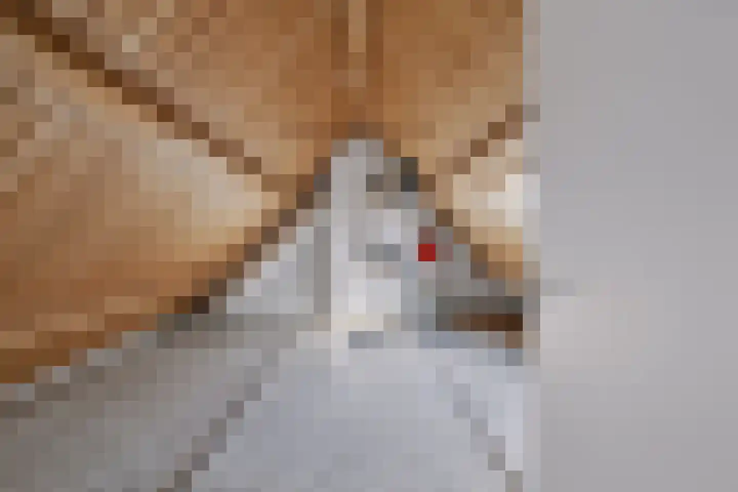 Kruitmolenlaan 77 Middelburg thumbnail 68