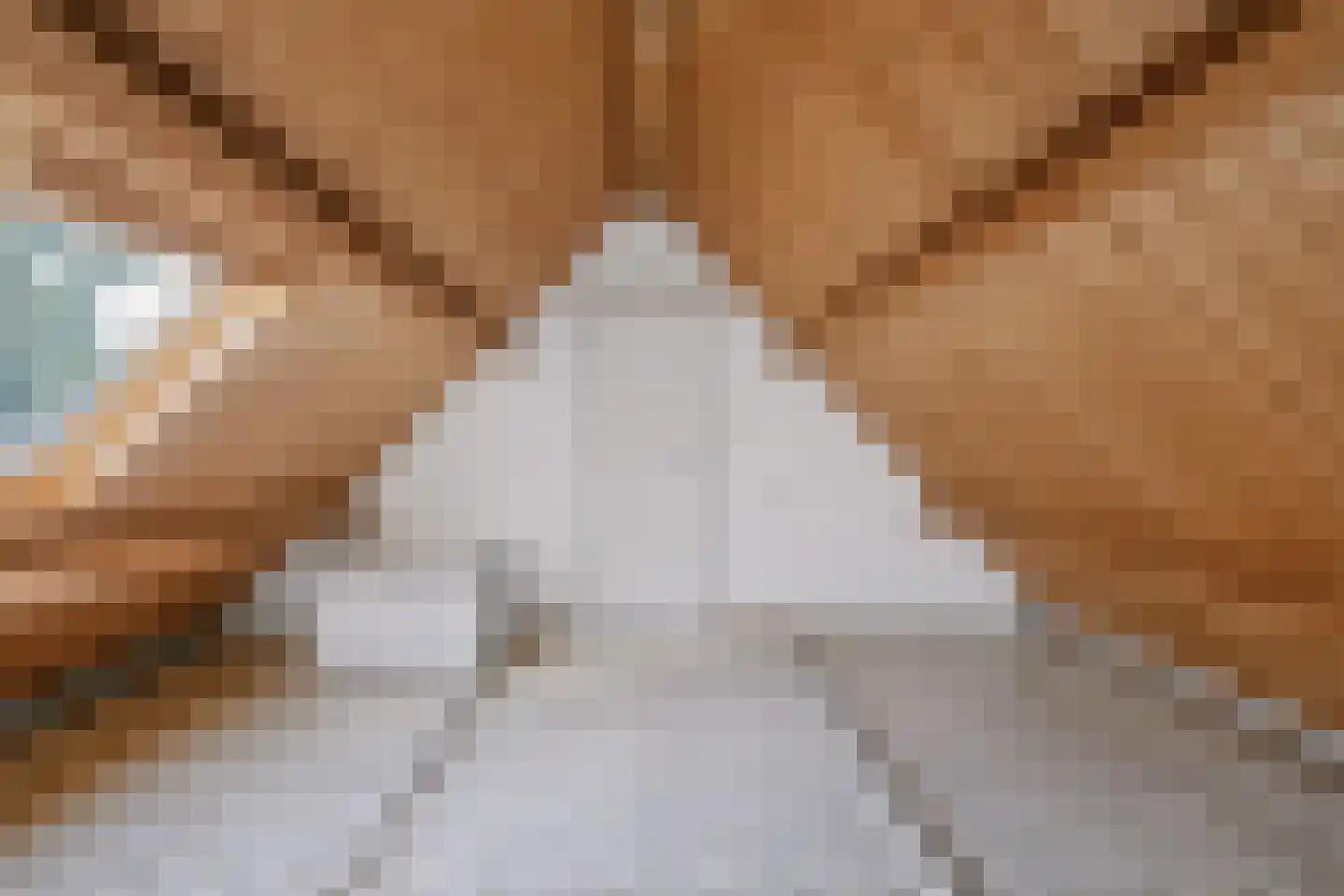Kruitmolenlaan 77 Middelburg thumbnail 69