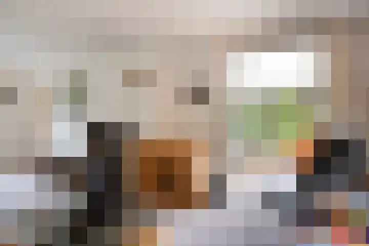 Kruitmolenlaan 9 Middelburg thumbnail 11