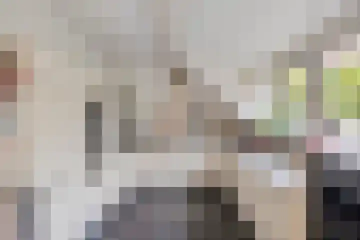 Kruitmolenlaan 9 Middelburg thumbnail 12