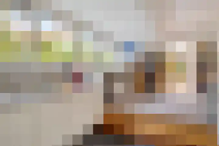 Kruitmolenlaan 9 Middelburg thumbnail 13