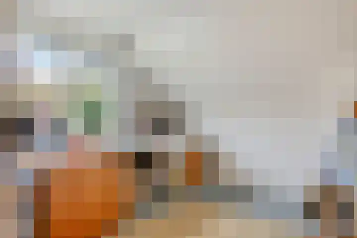 Kruitmolenlaan 9 Middelburg thumbnail 24