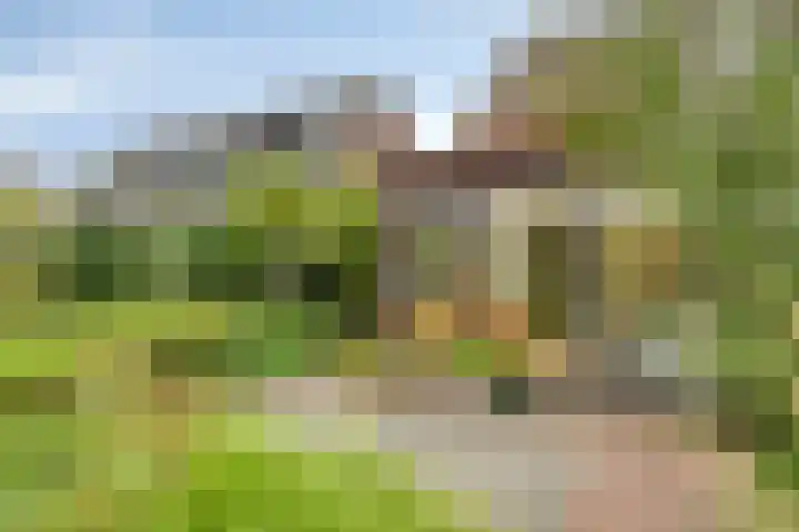 Kruitmolenlaan 9 Middelburg thumbnail 26