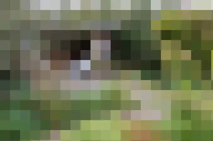 Kruitmolenlaan 9 Middelburg thumbnail 27