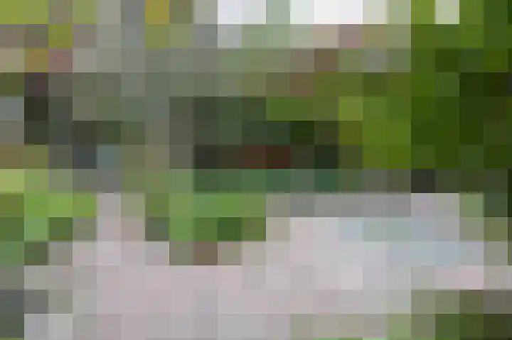 Kruitmolenlaan 9 Middelburg thumbnail 29