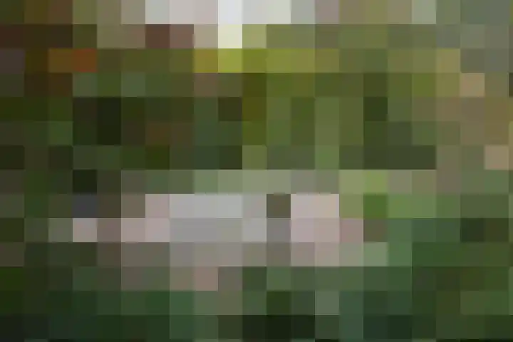 Kruitmolenlaan 9 Middelburg thumbnail 30
