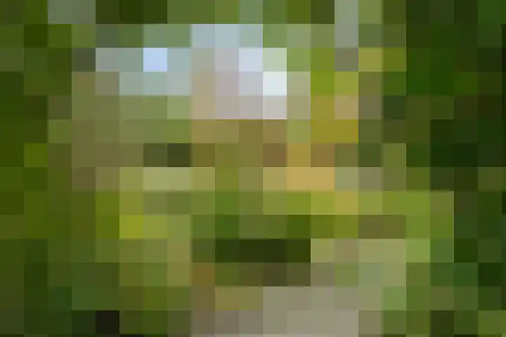 Kruitmolenlaan 9 Middelburg thumbnail 31