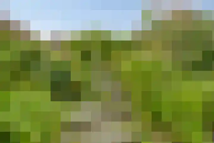 Kruitmolenlaan 9 Middelburg thumbnail 32