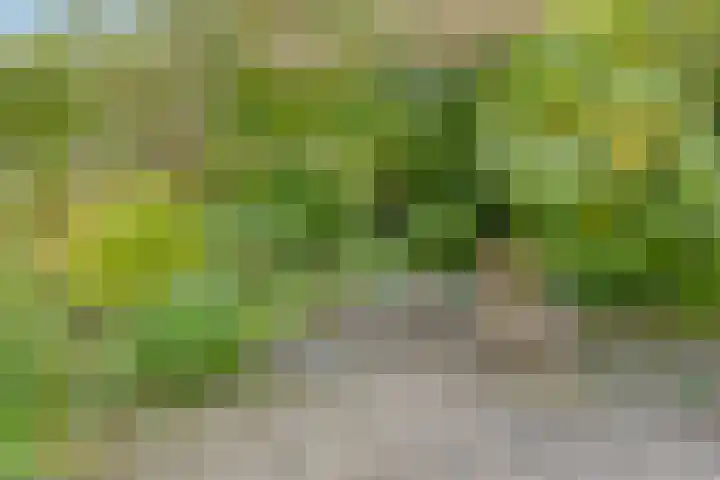 Kruitmolenlaan 9 Middelburg thumbnail 33