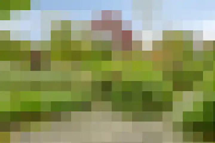 Kruitmolenlaan 9 Middelburg thumbnail 34
