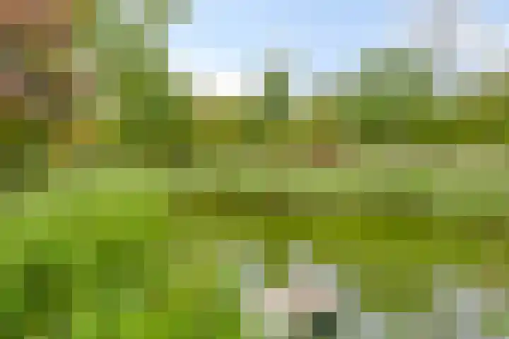 Kruitmolenlaan 9 Middelburg thumbnail 35